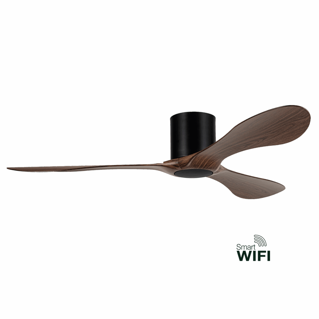 Shinzo - Black-Walnut