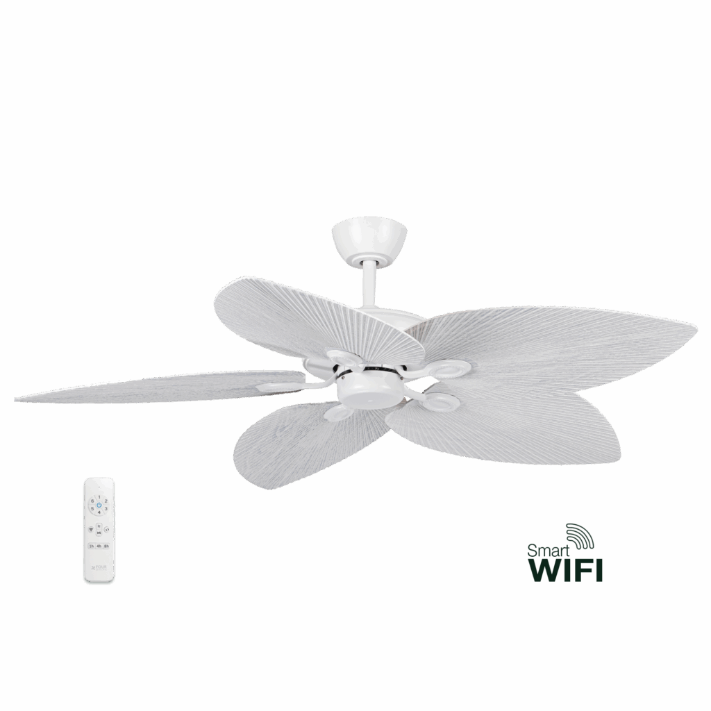 Smart DC Ceiling Fan