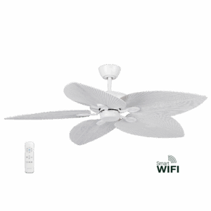 Smart DC Ceiling Fan