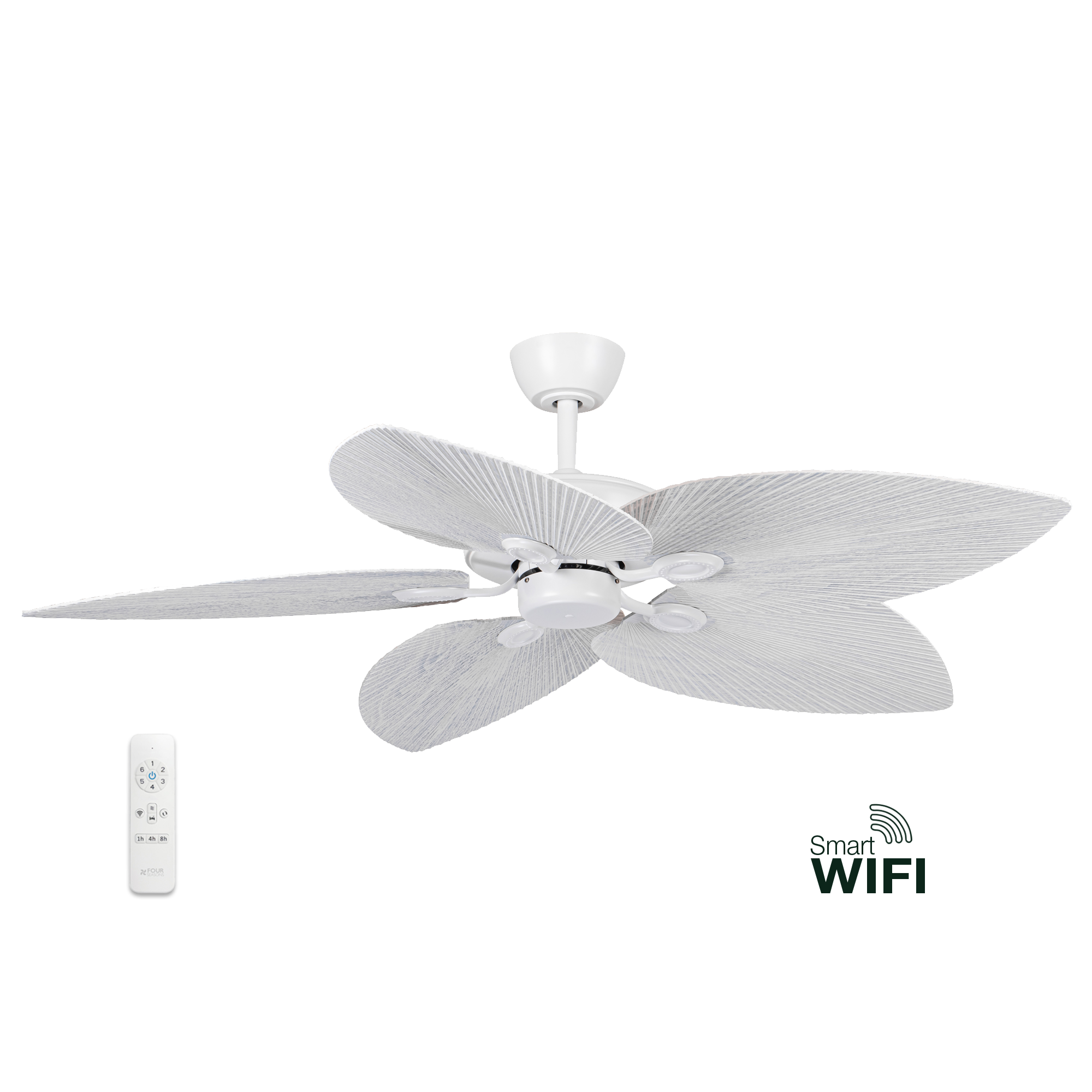Smart DC Ceiling Fan