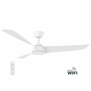 Smart DC Ceiling Fan
