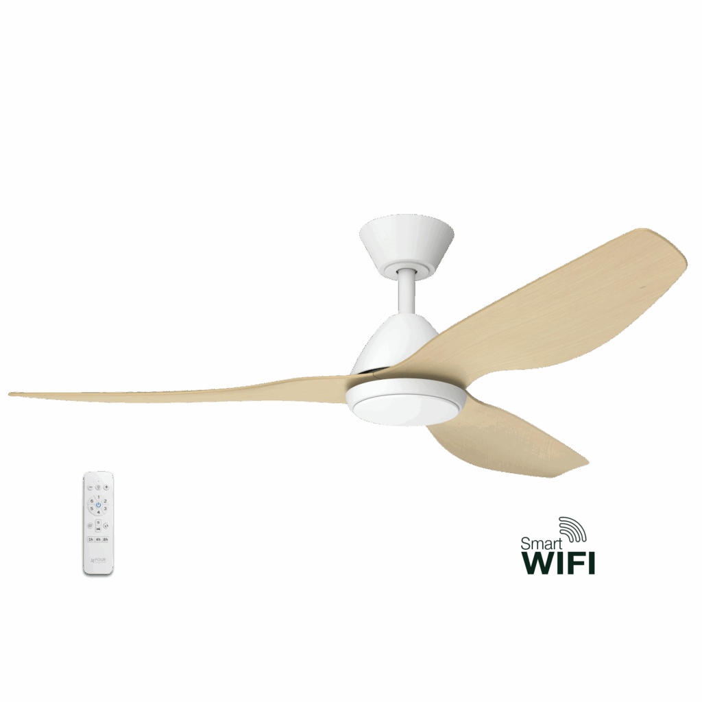 Smart DC Ceiling Fan